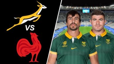AUTUMN INTL 2025 / FRANCE vs SPRINGBOKS
